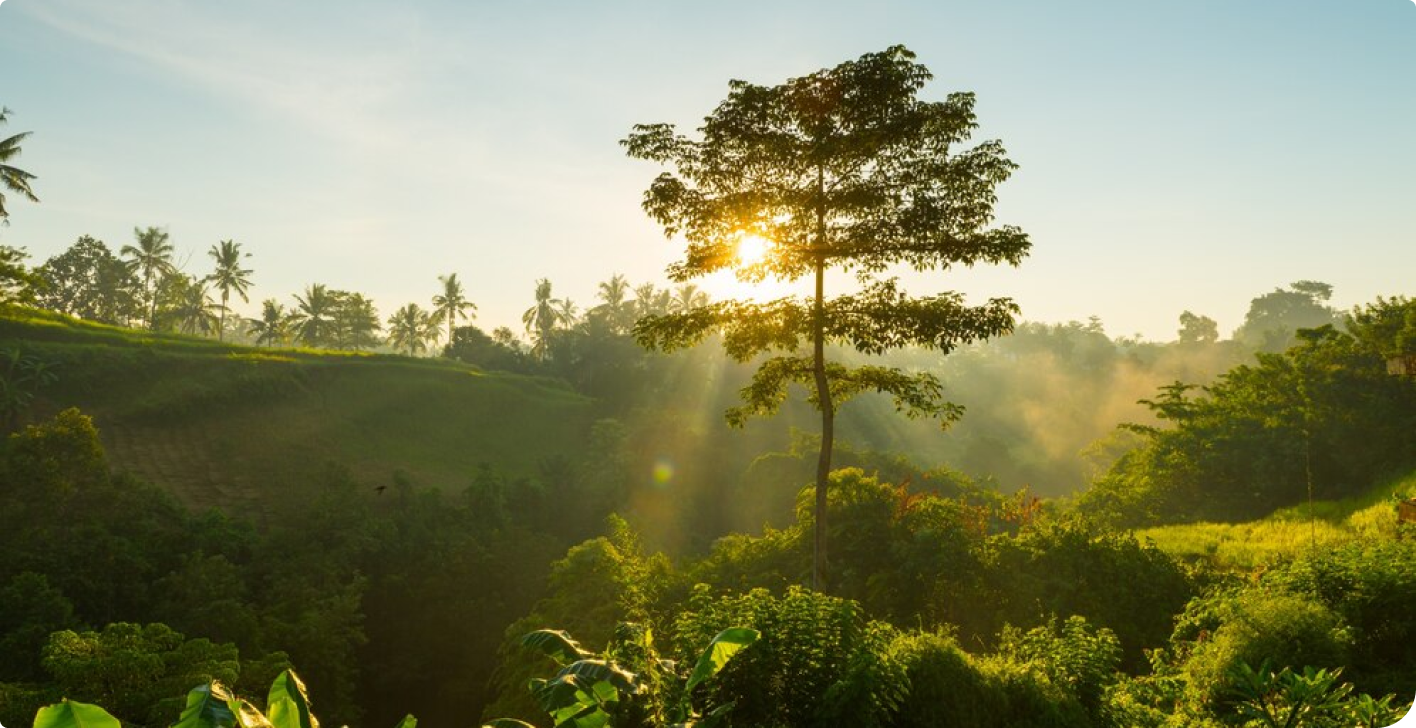 Eco-Friendly Adventures