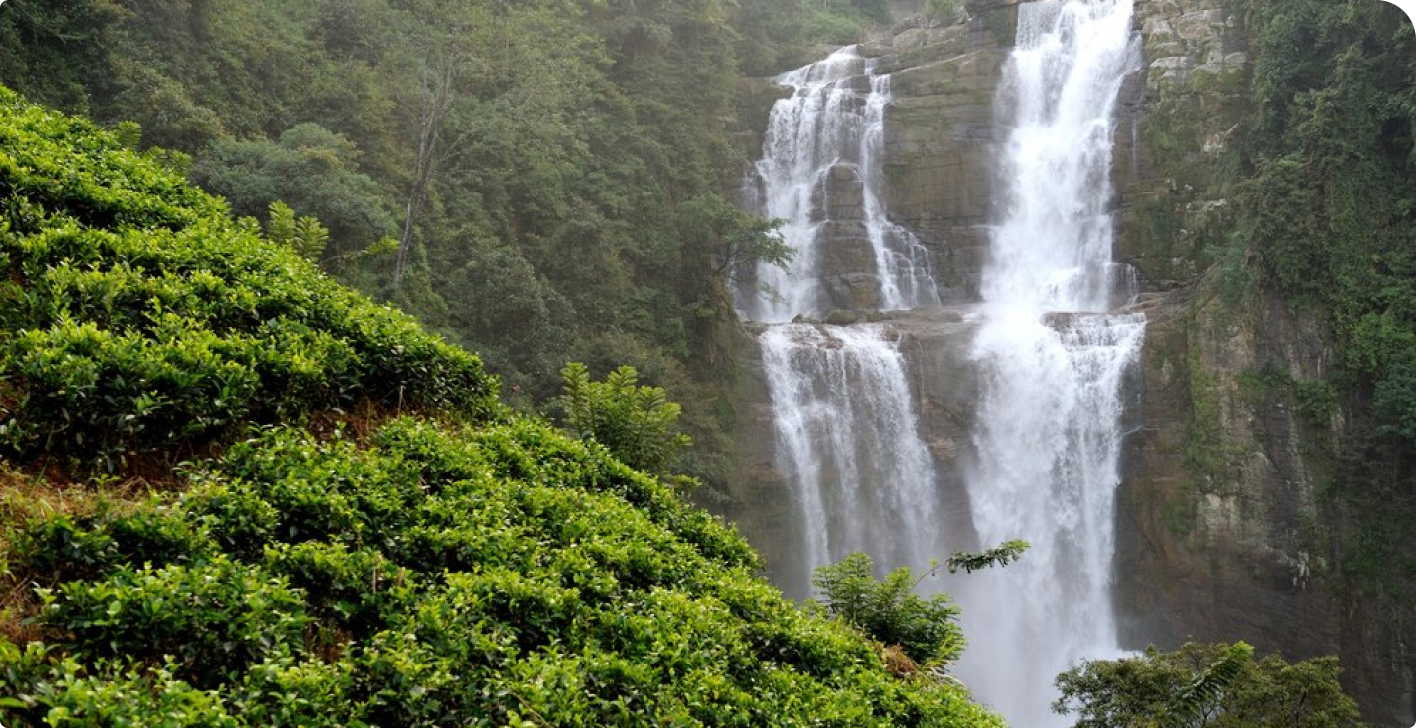 Natural Wonders