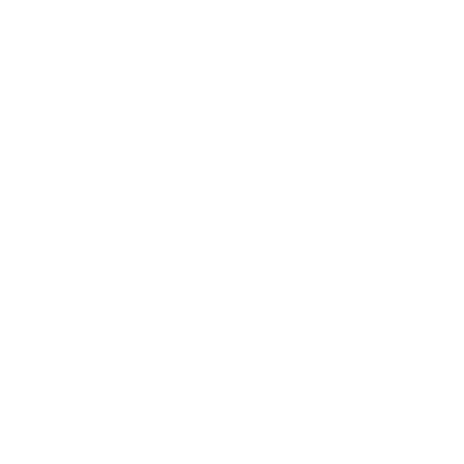 TECHNICAL LEADERSHIP