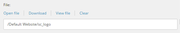 file-field-type