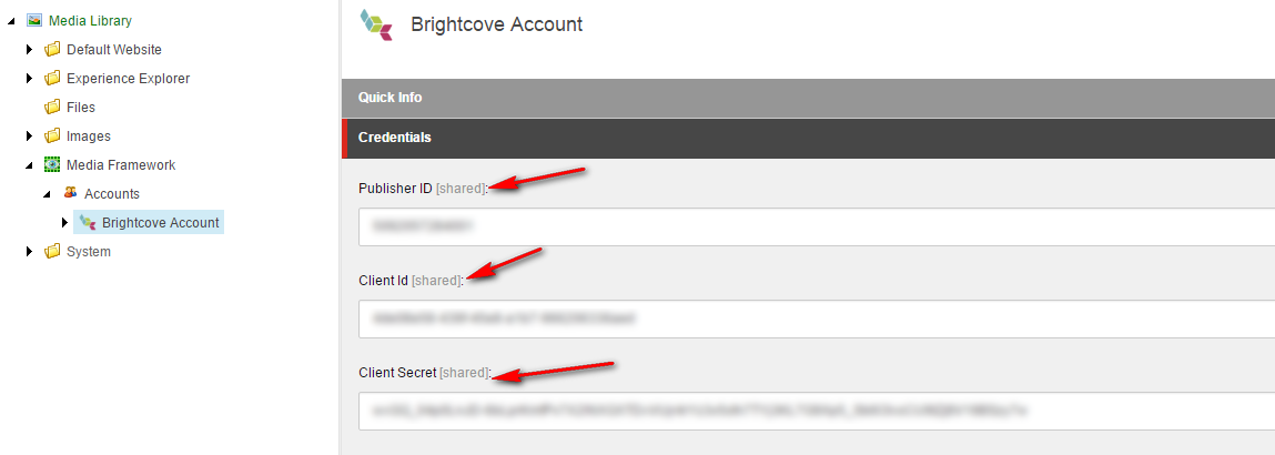brightcove-account-8