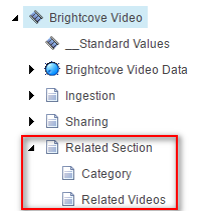 brightcove-template-customize