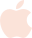 apple icon