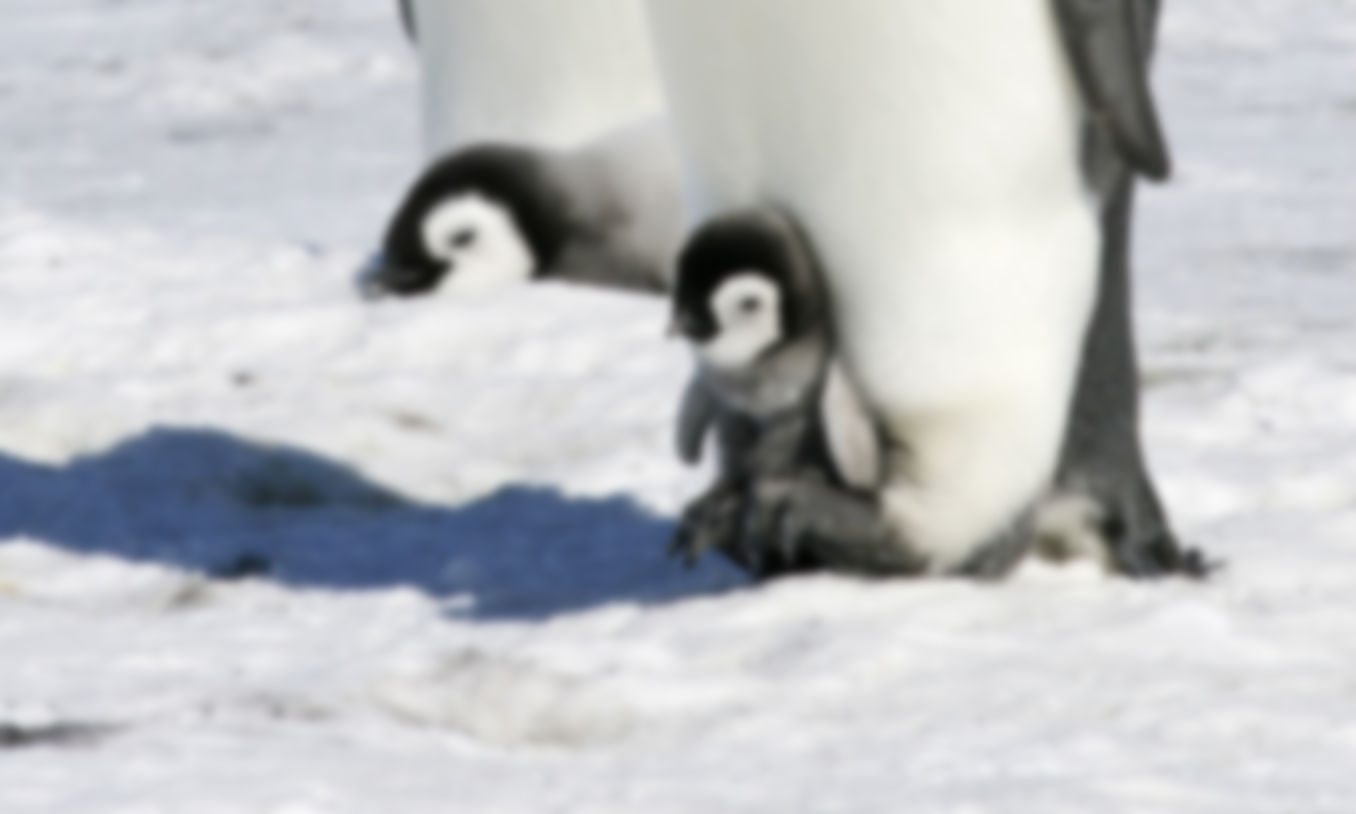 gallery-image-18