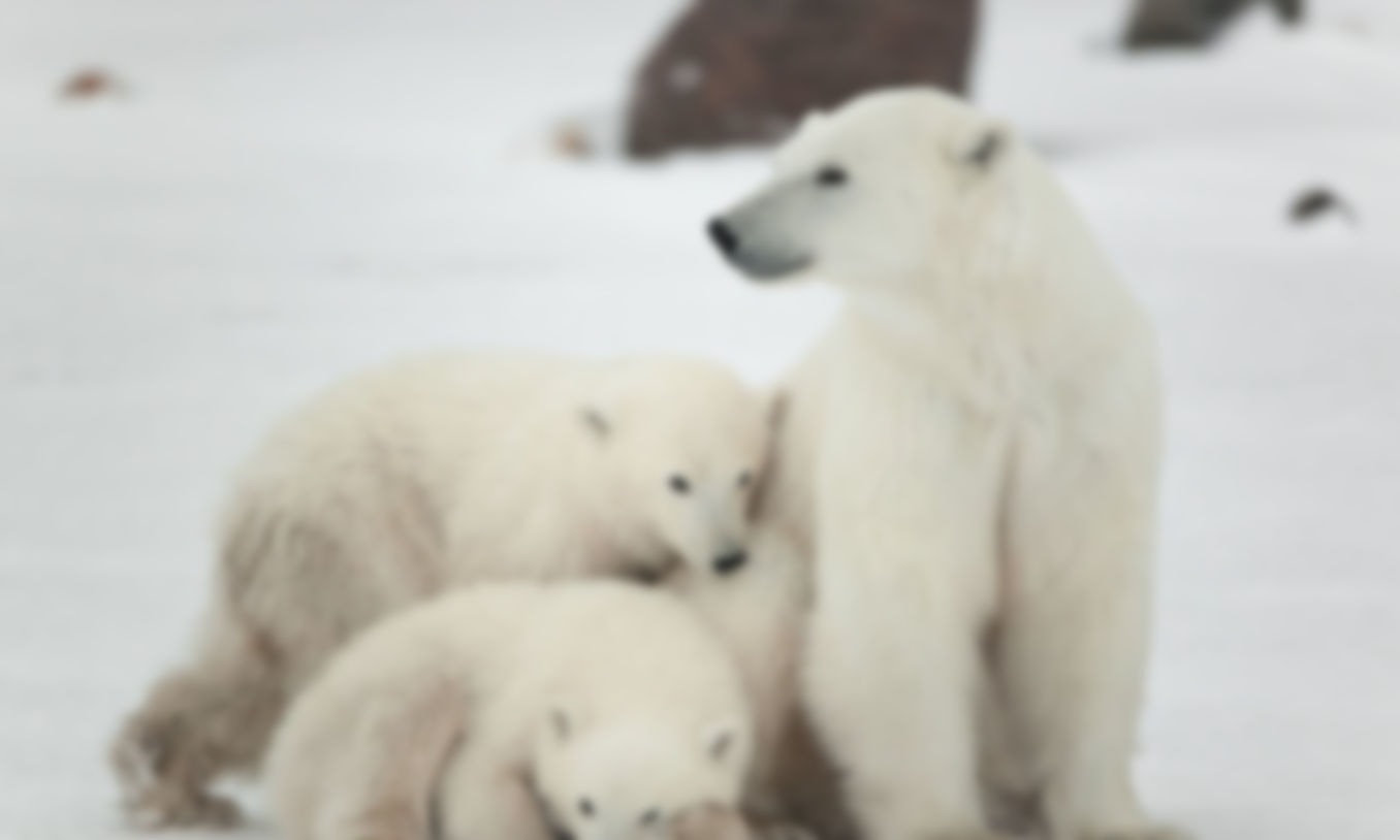 gallery-image-23