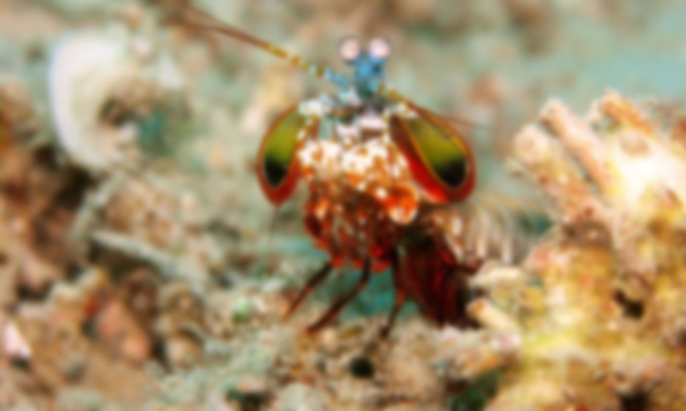 gallery-image-20