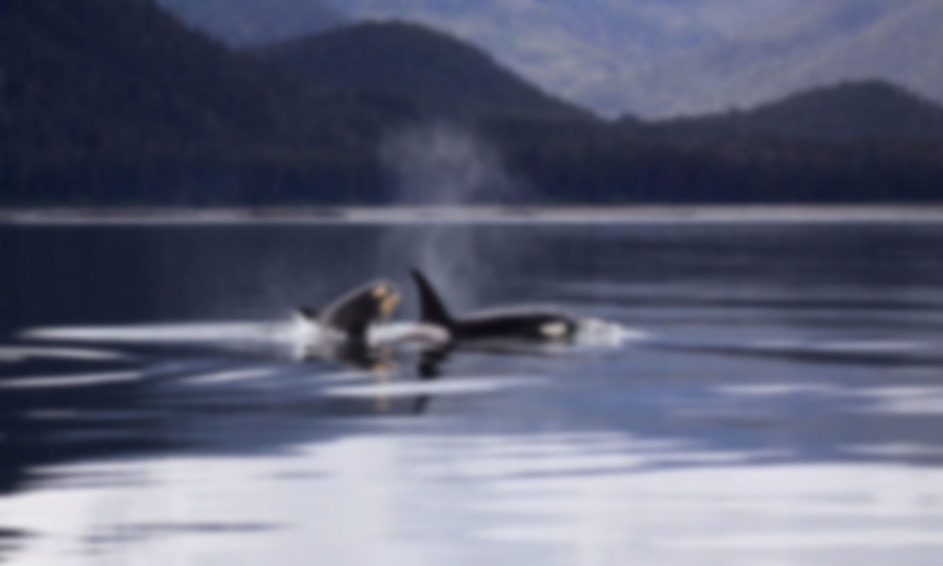 gallery-image-8