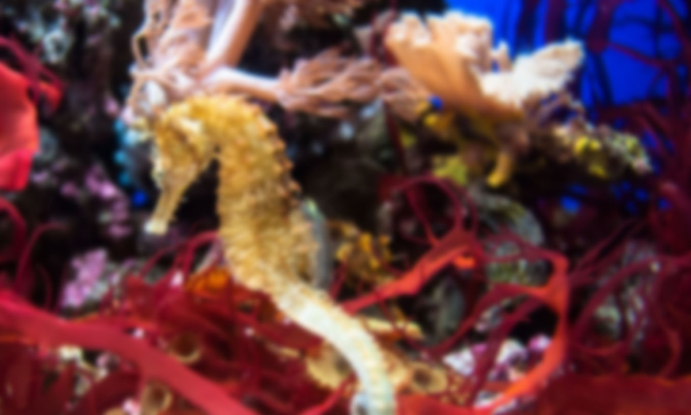 gallery-image-13