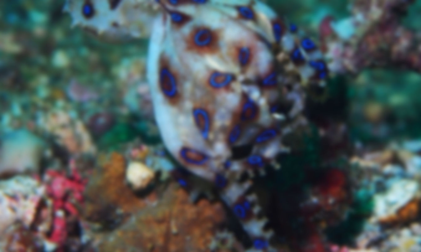 gallery-image-10