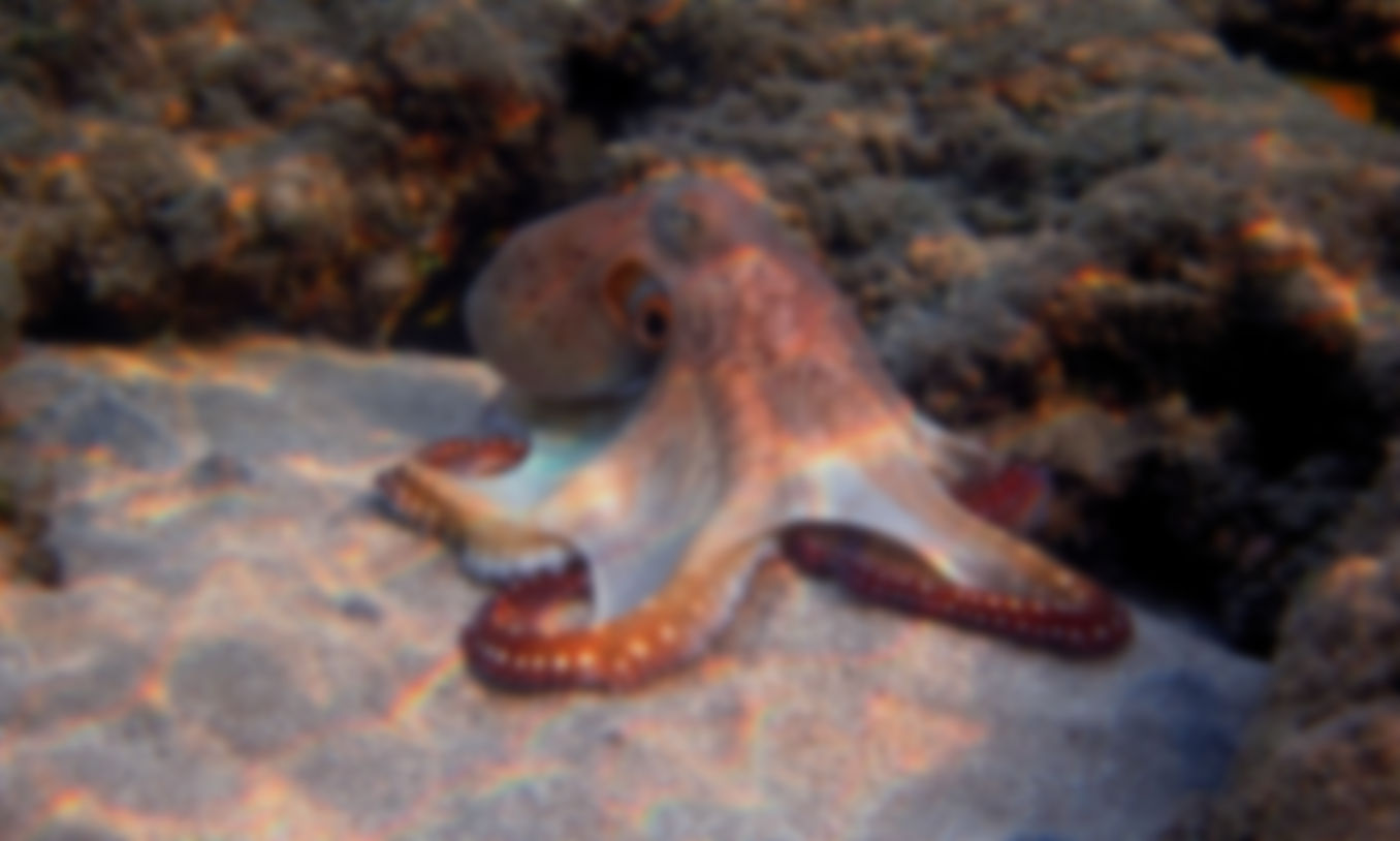gallery-image-11