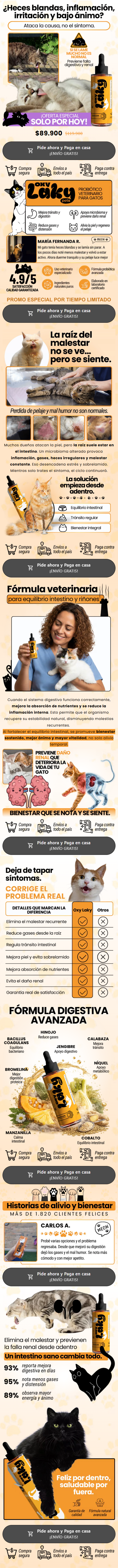 Landing Bienestar felino