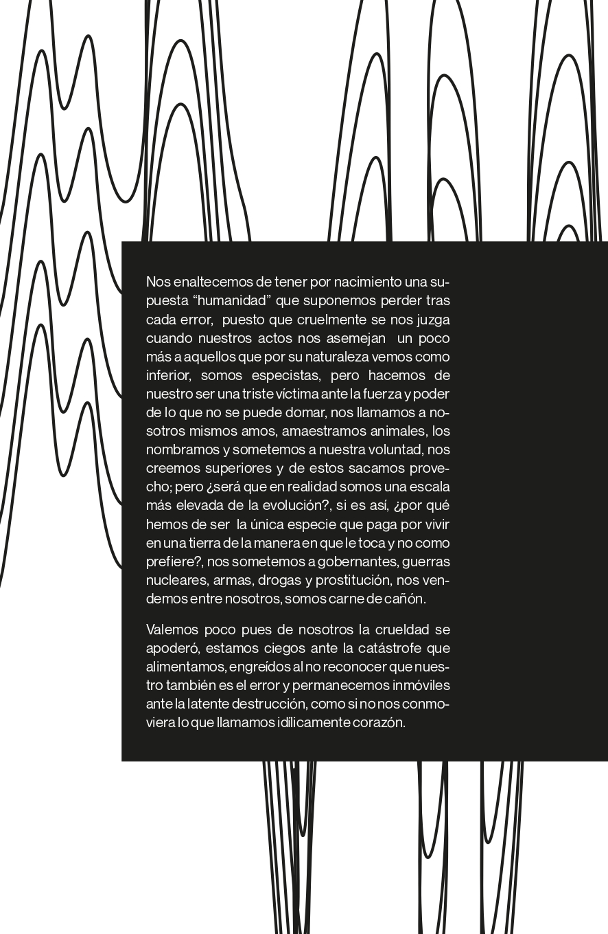 Página de revista 1