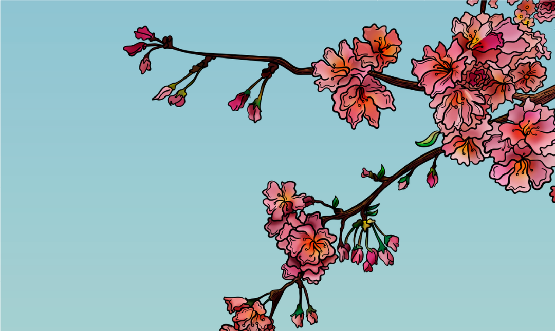 Color 13