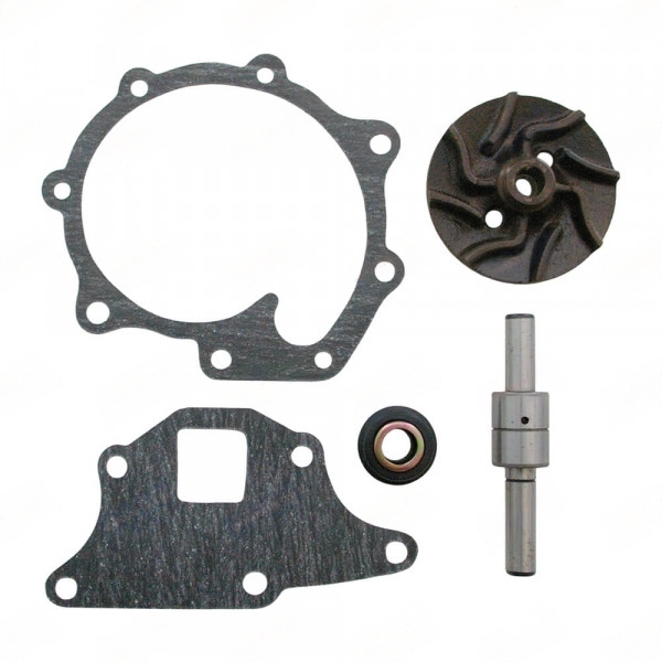 Kit De Reparacion Bomba De Agua Djpn8591b E83956