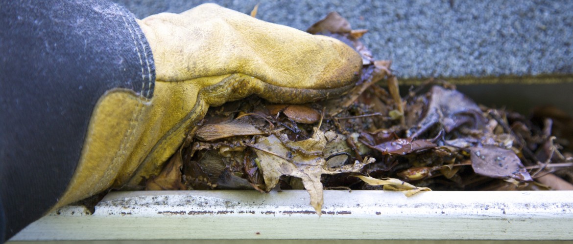 Gutter Cleaning