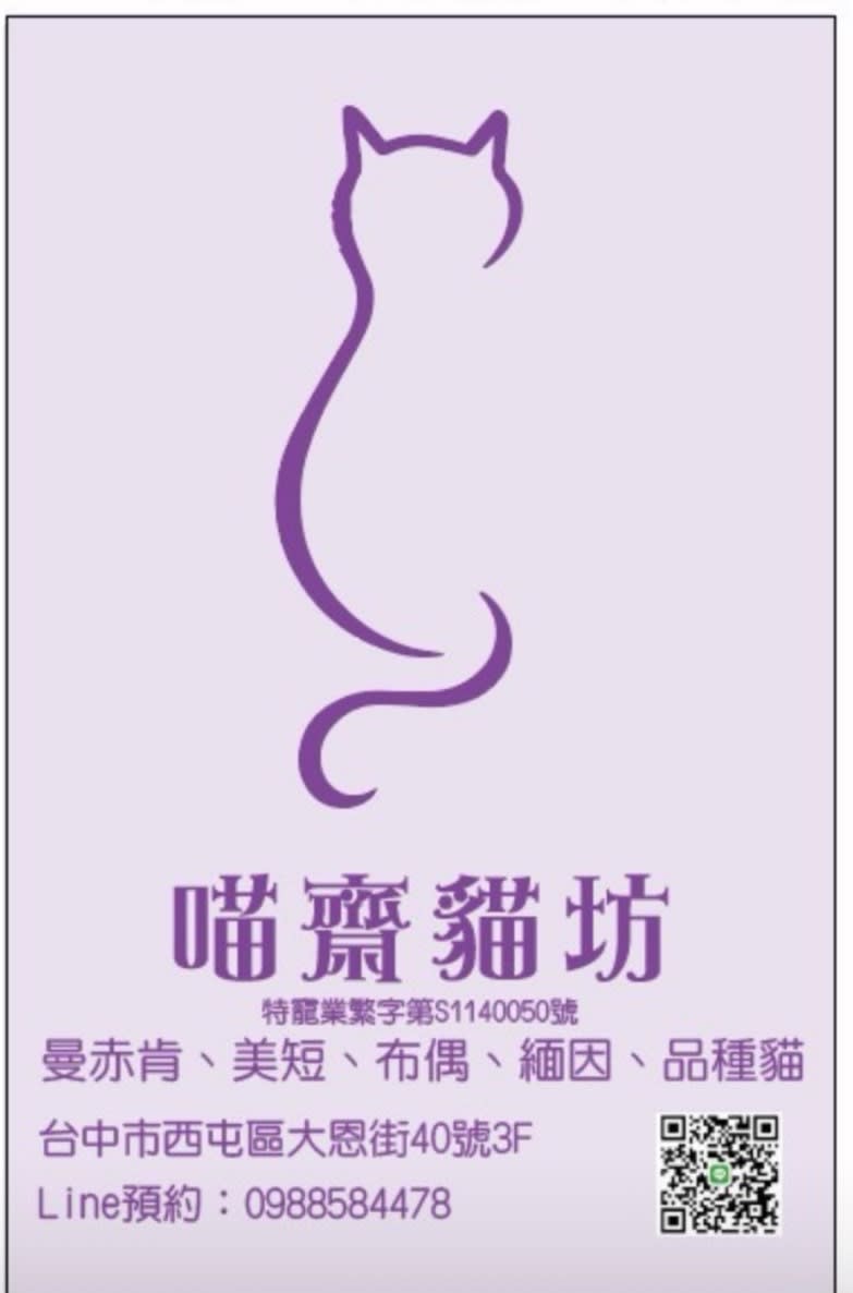 貓舍封面照片