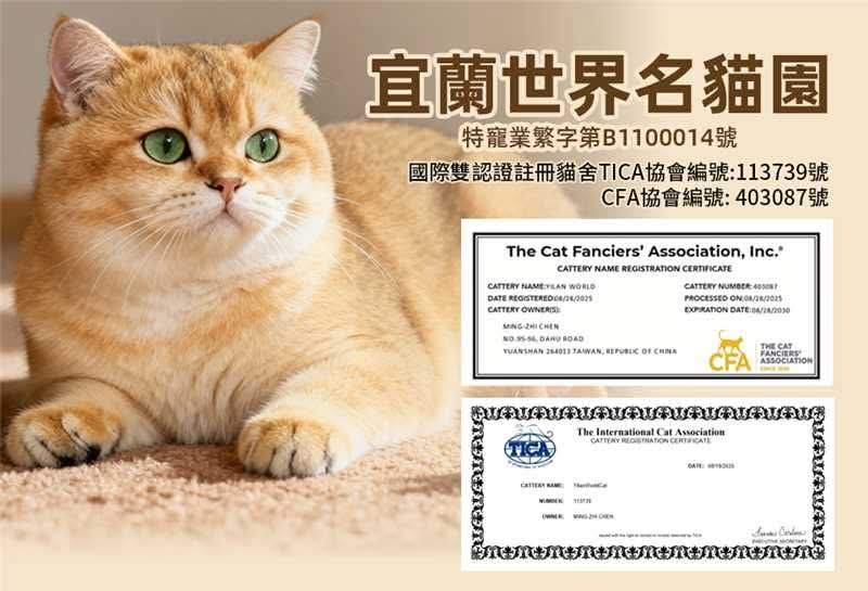 貓舍封面照片