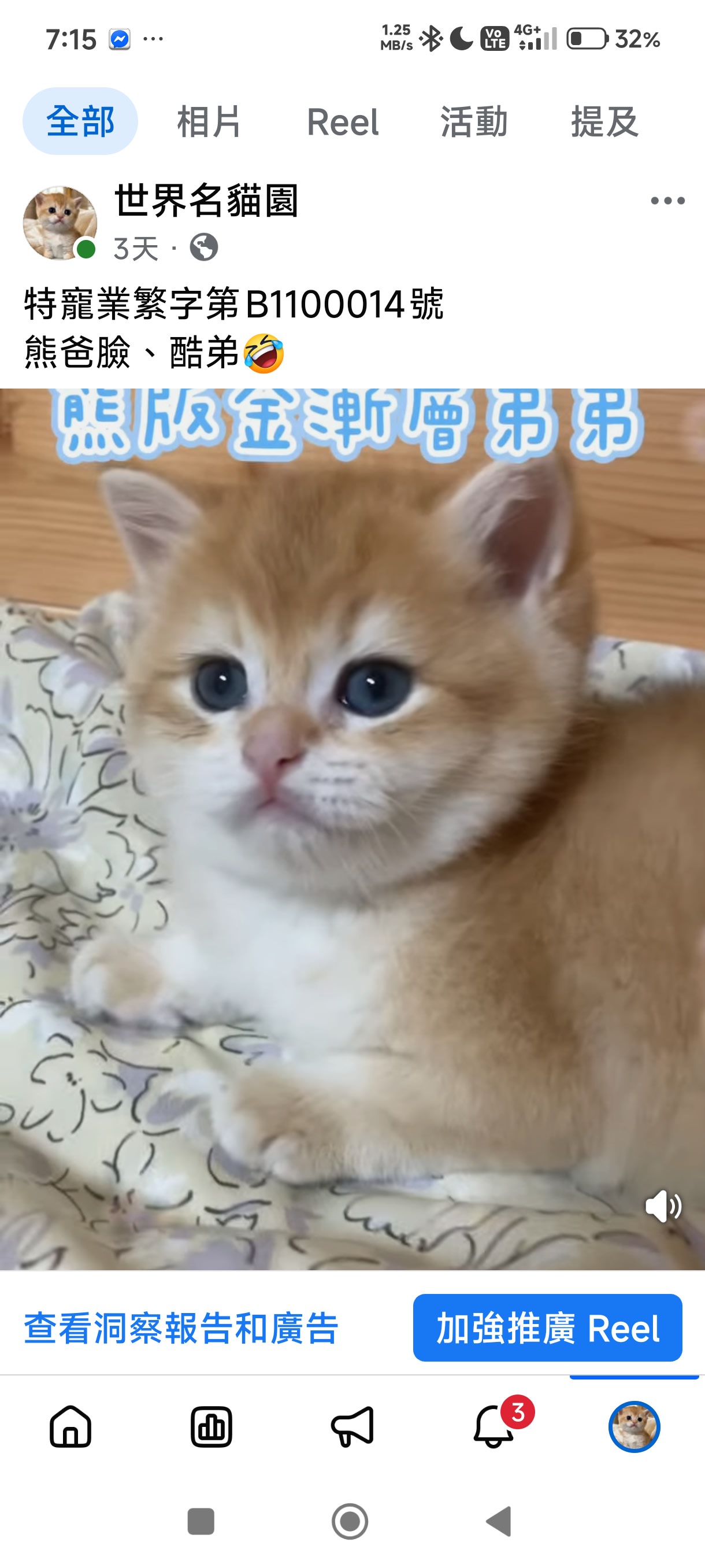 貓舍環境 7