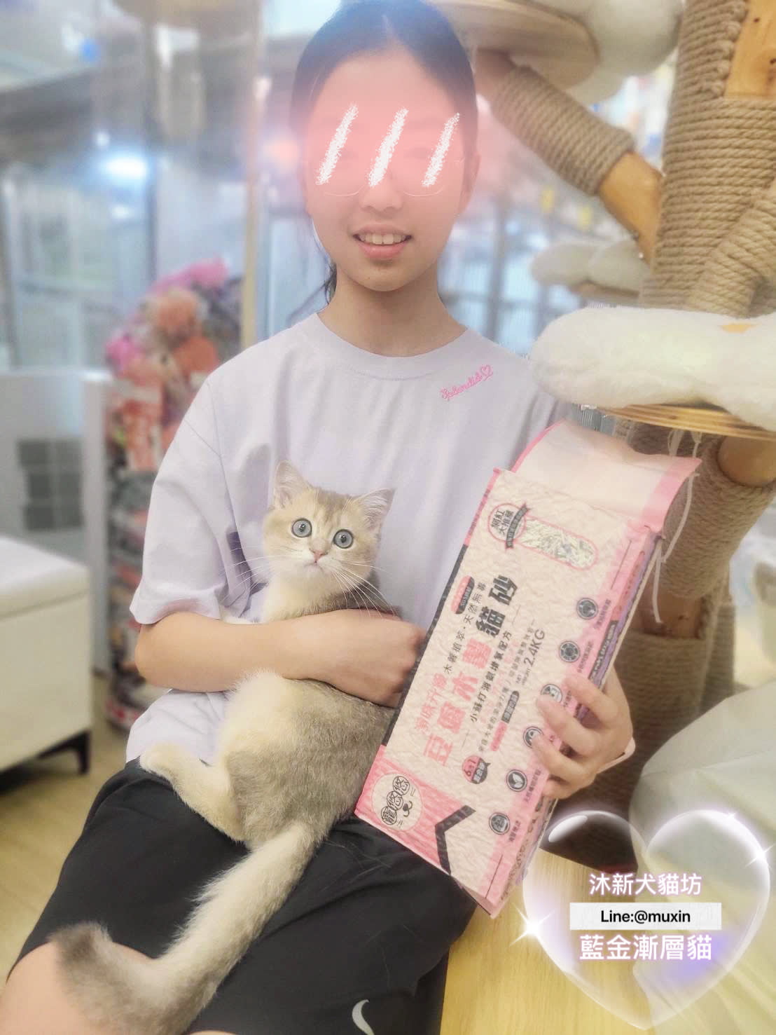 貓舍環境 1