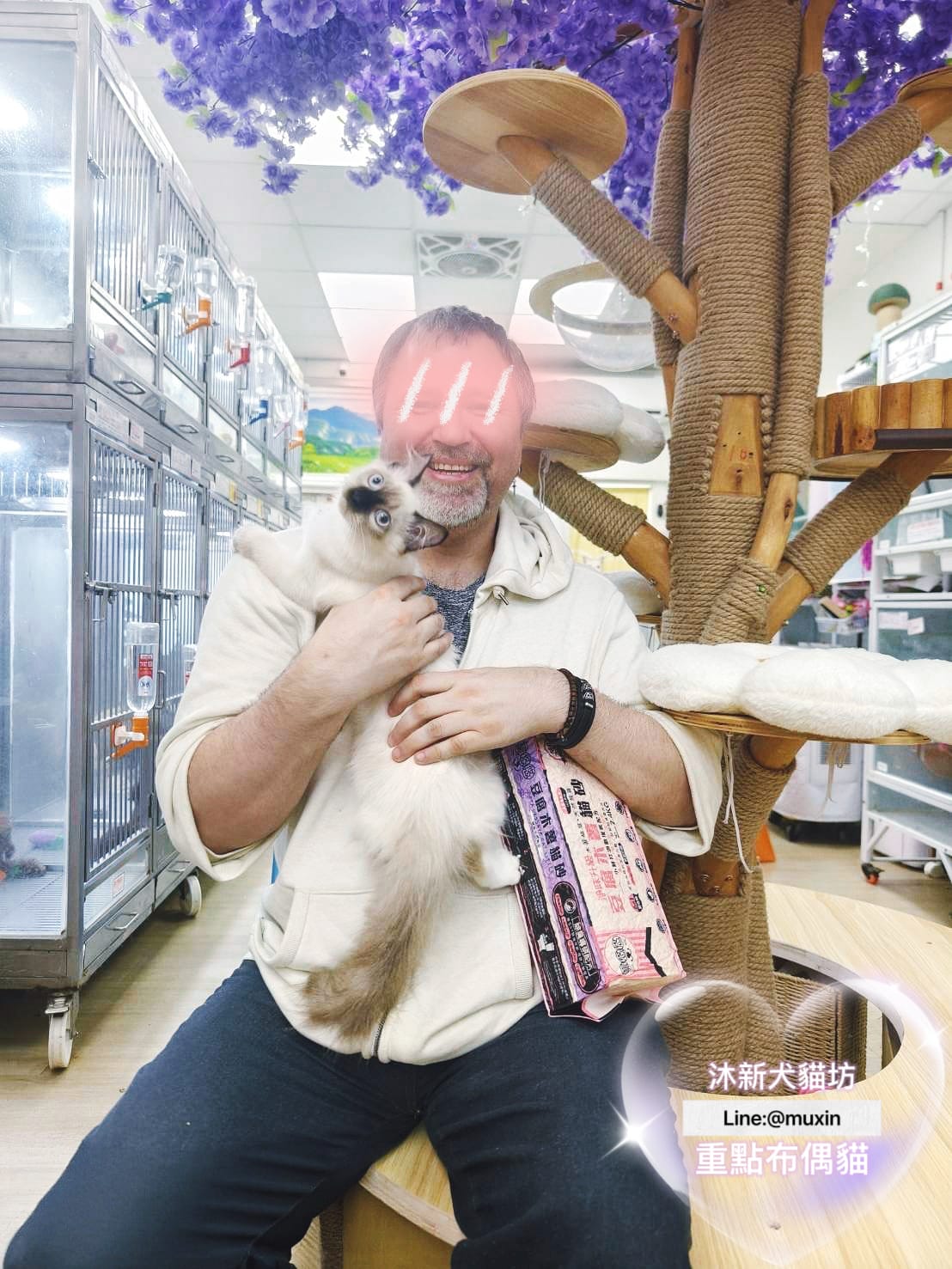 貓舍環境 3