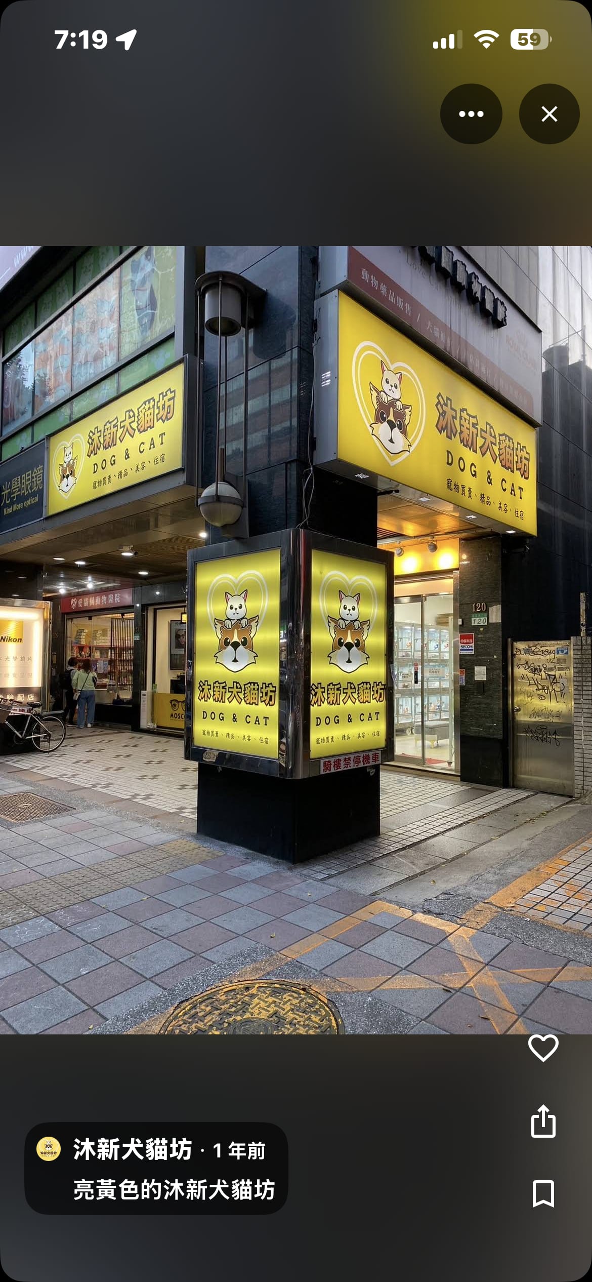 貓舍環境 8