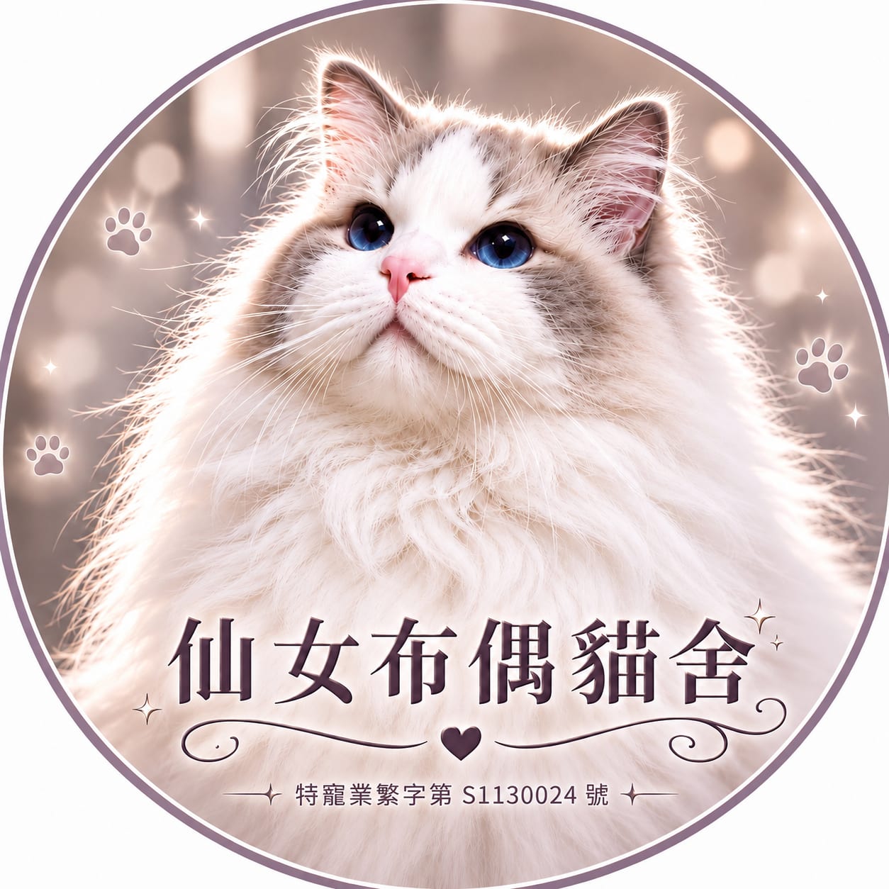 貓舍封面照片