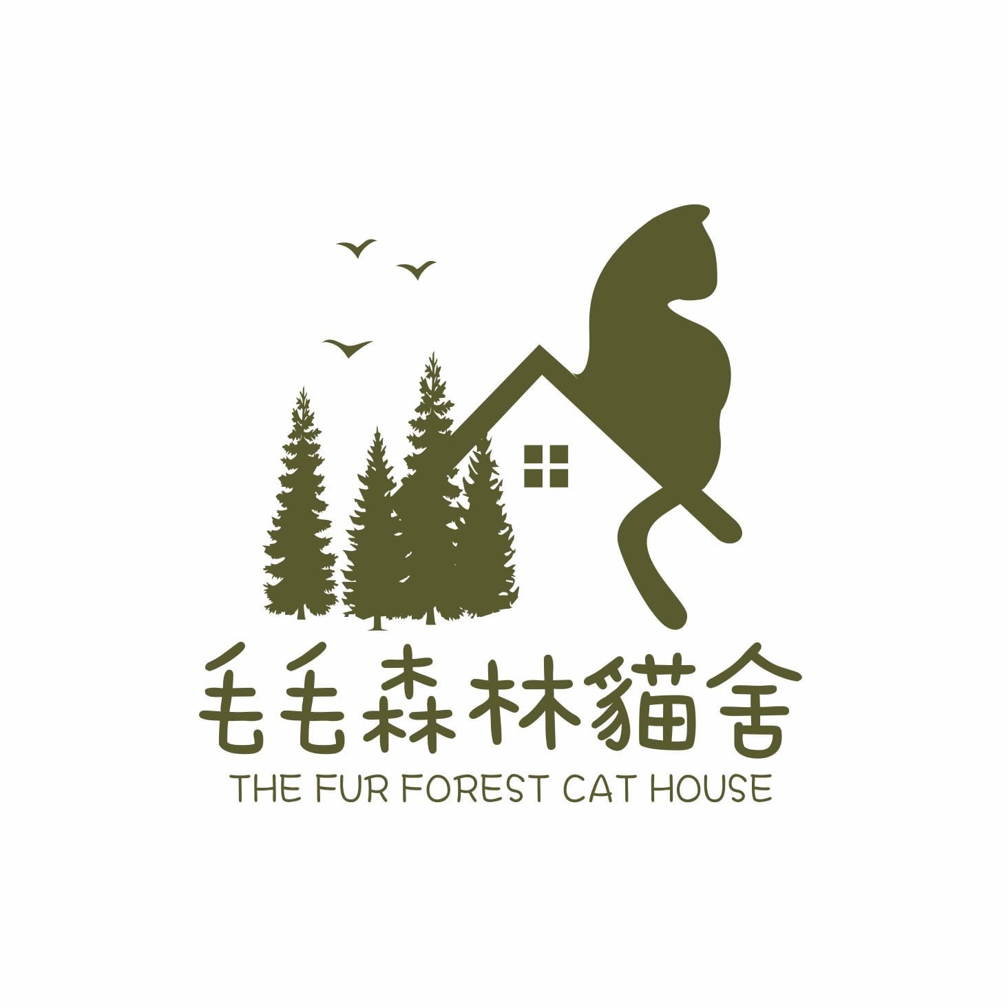貓舍封面照片