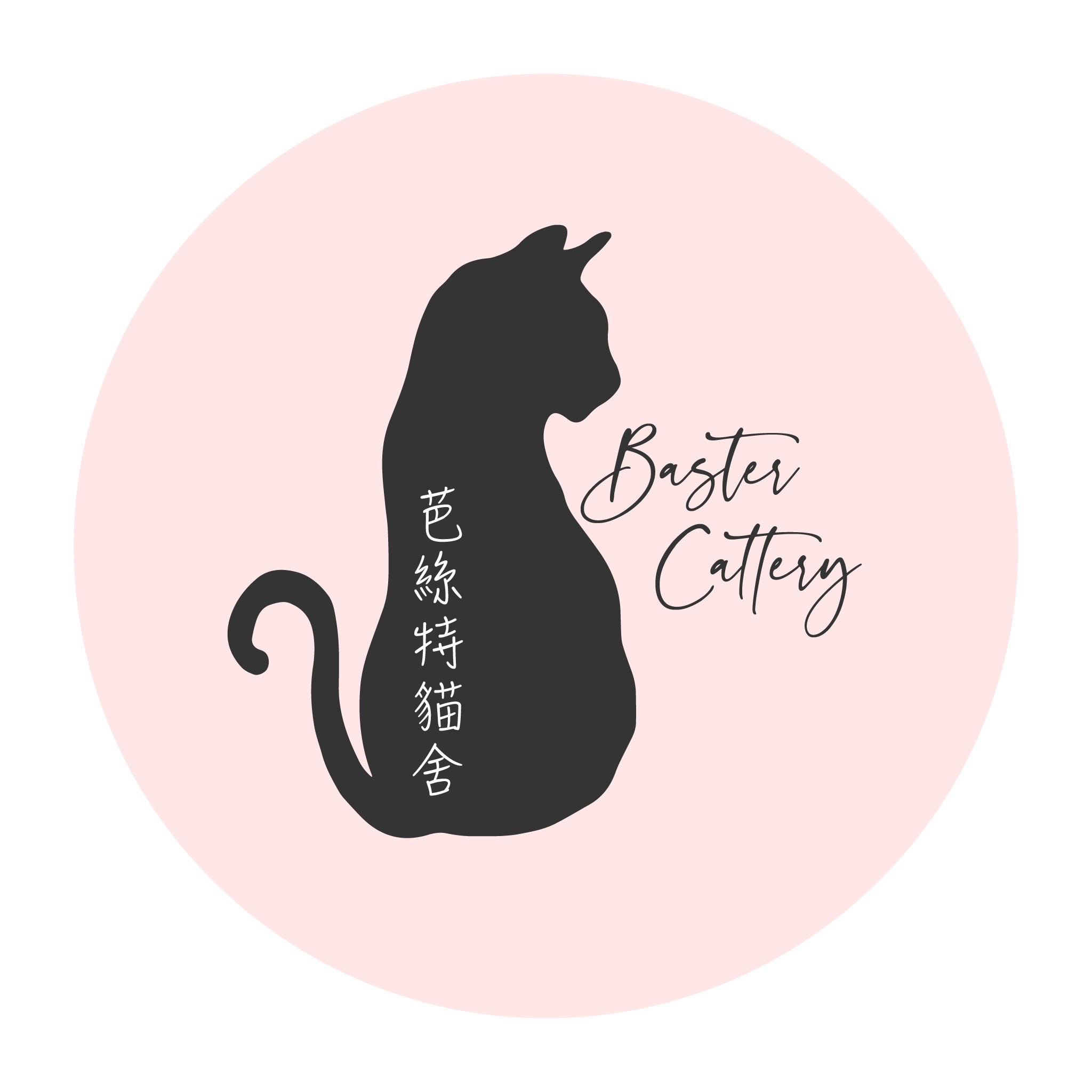 貓舍封面照片