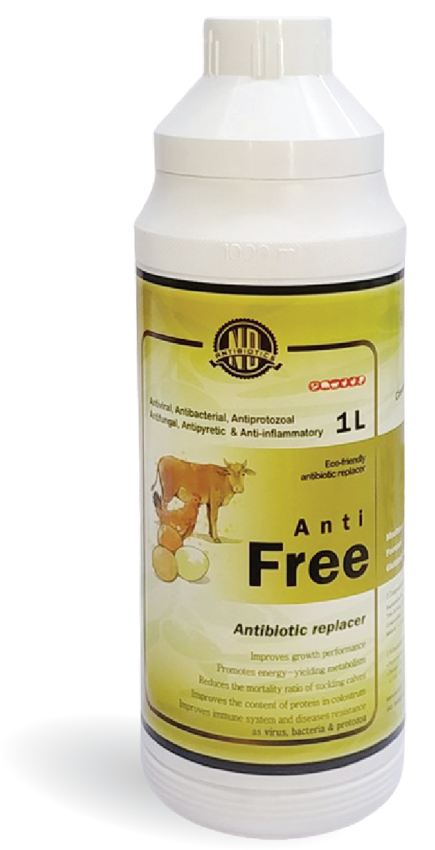 Anti Free
