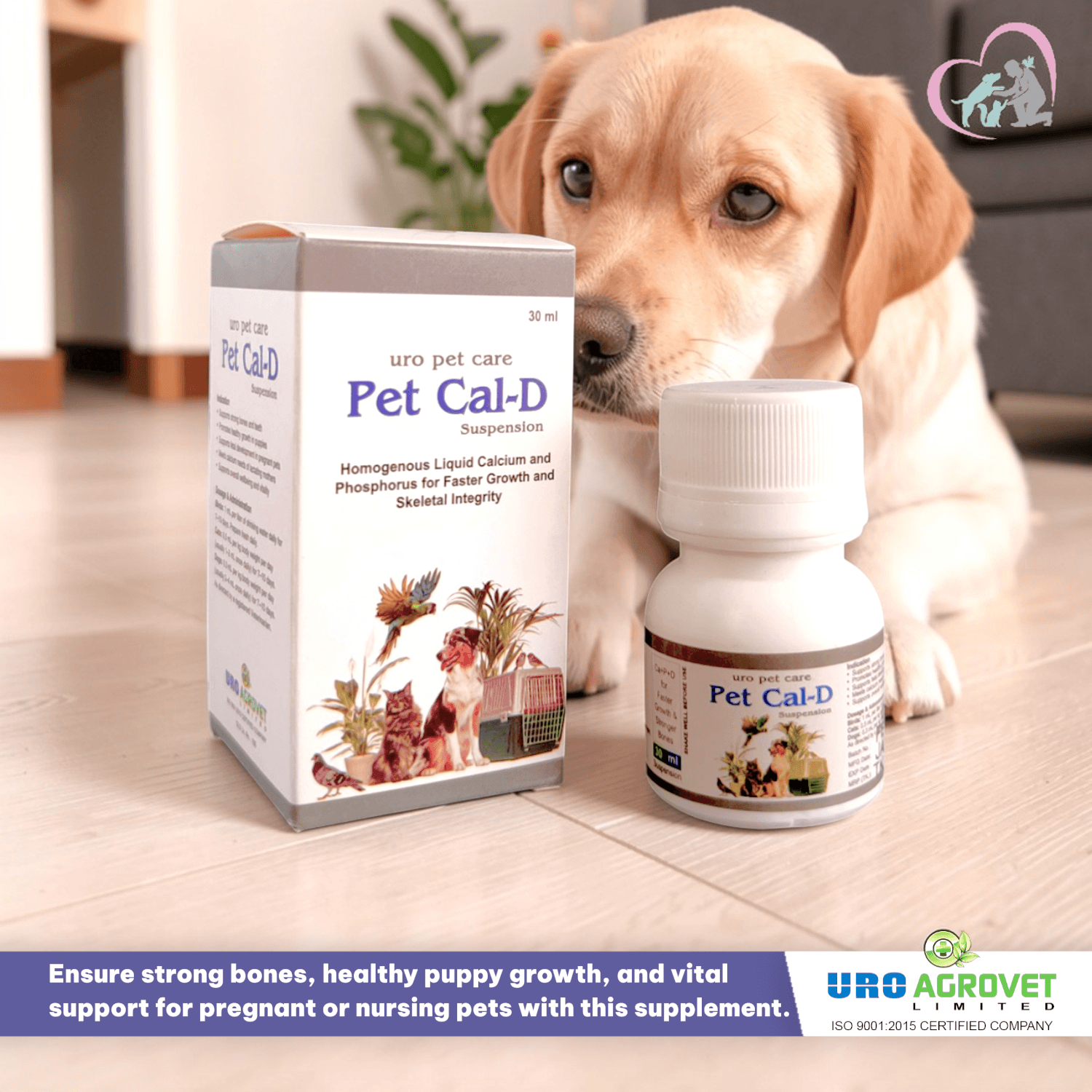 Pet Cal D