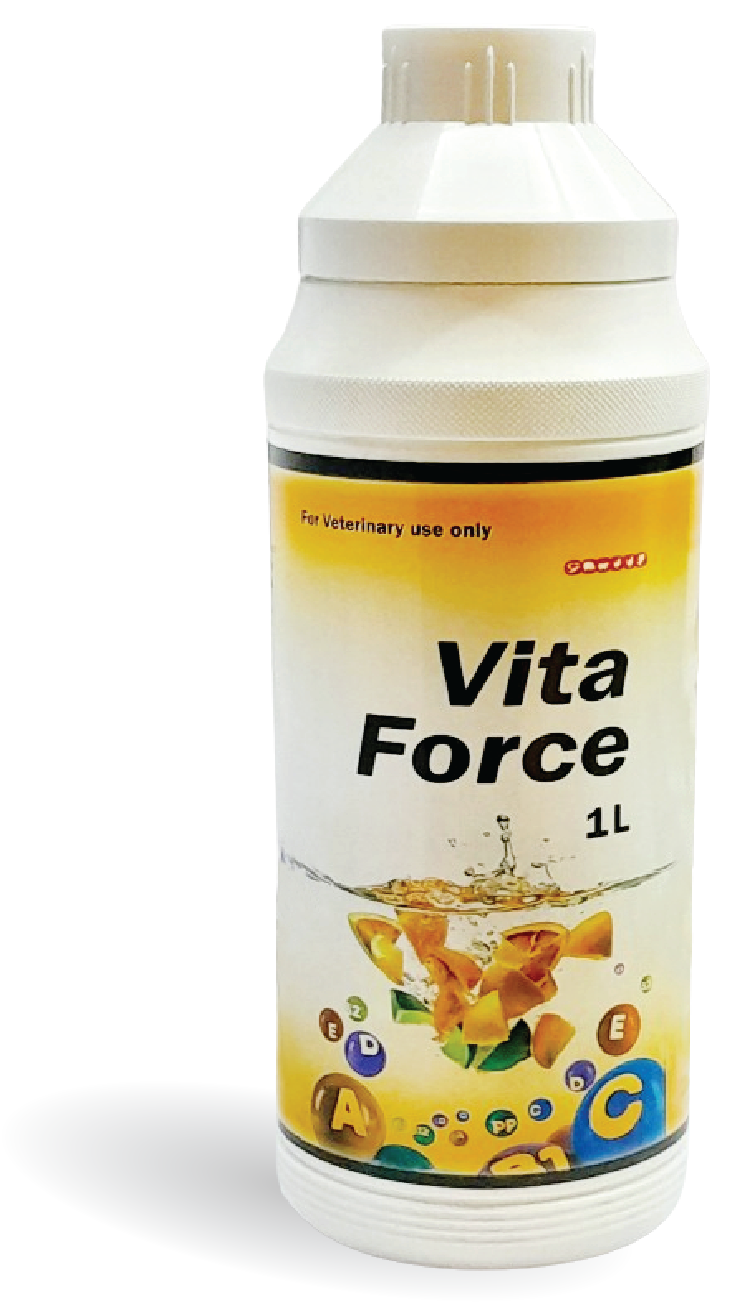 Vita Force Liquid