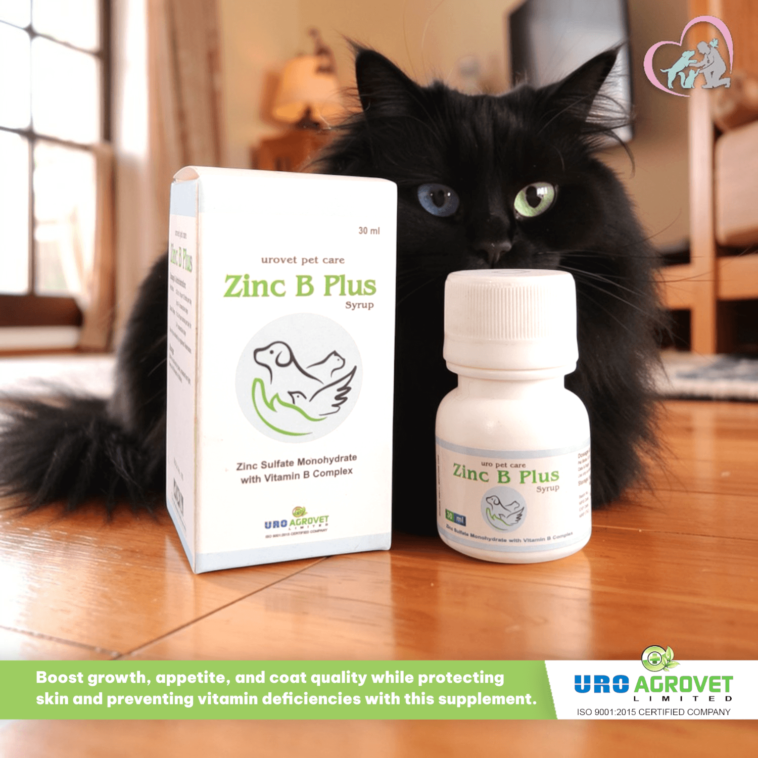 Zinc B Plus