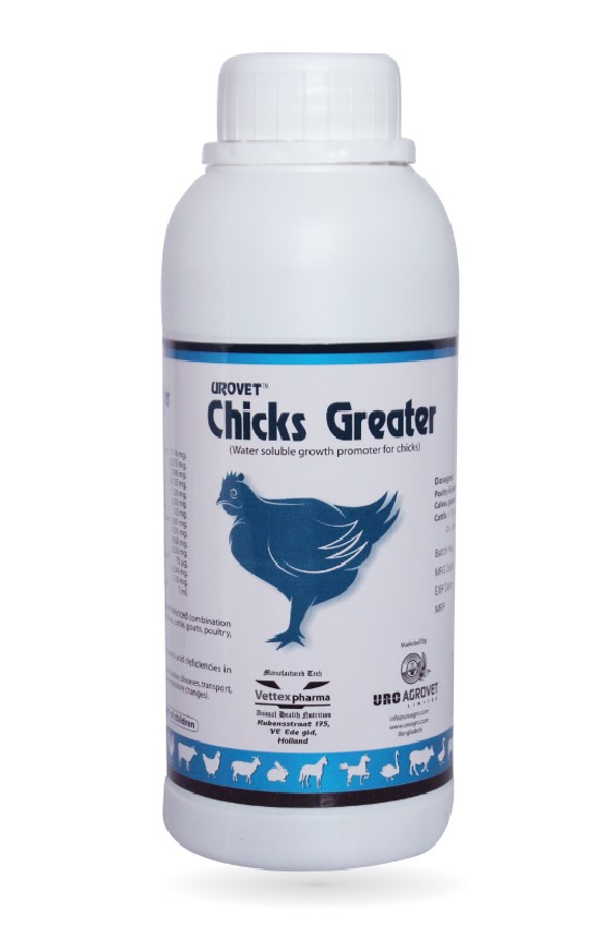 UROVET Chicks Greater