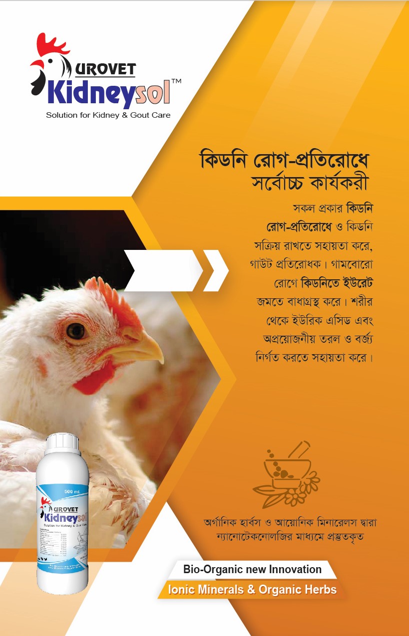 UROVET Kidneysol