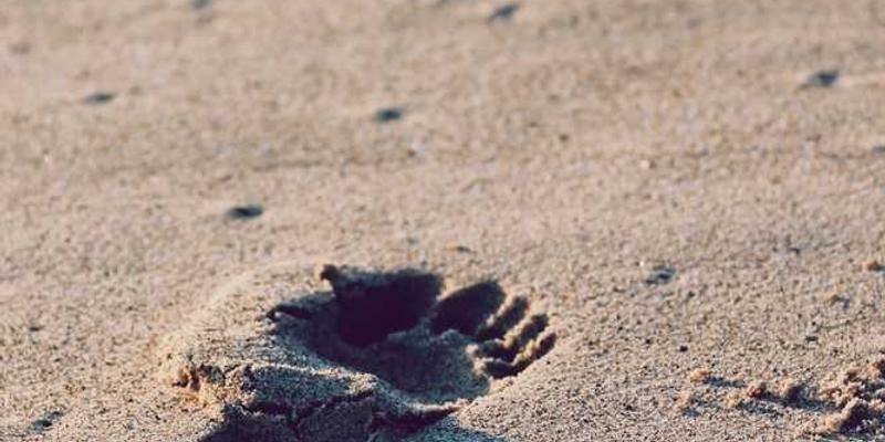 Interfaces and Dependency Inversion