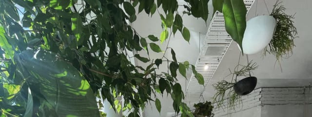Photo 2 of 3