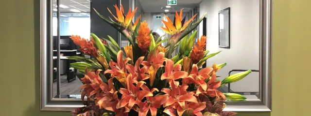 Photo 5 of 6