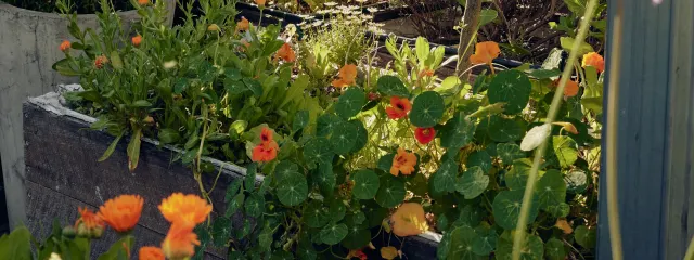 Photo 4 of 6