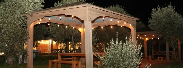 Photo 3 of 6