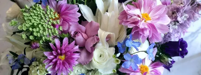 Photo 4 of 6