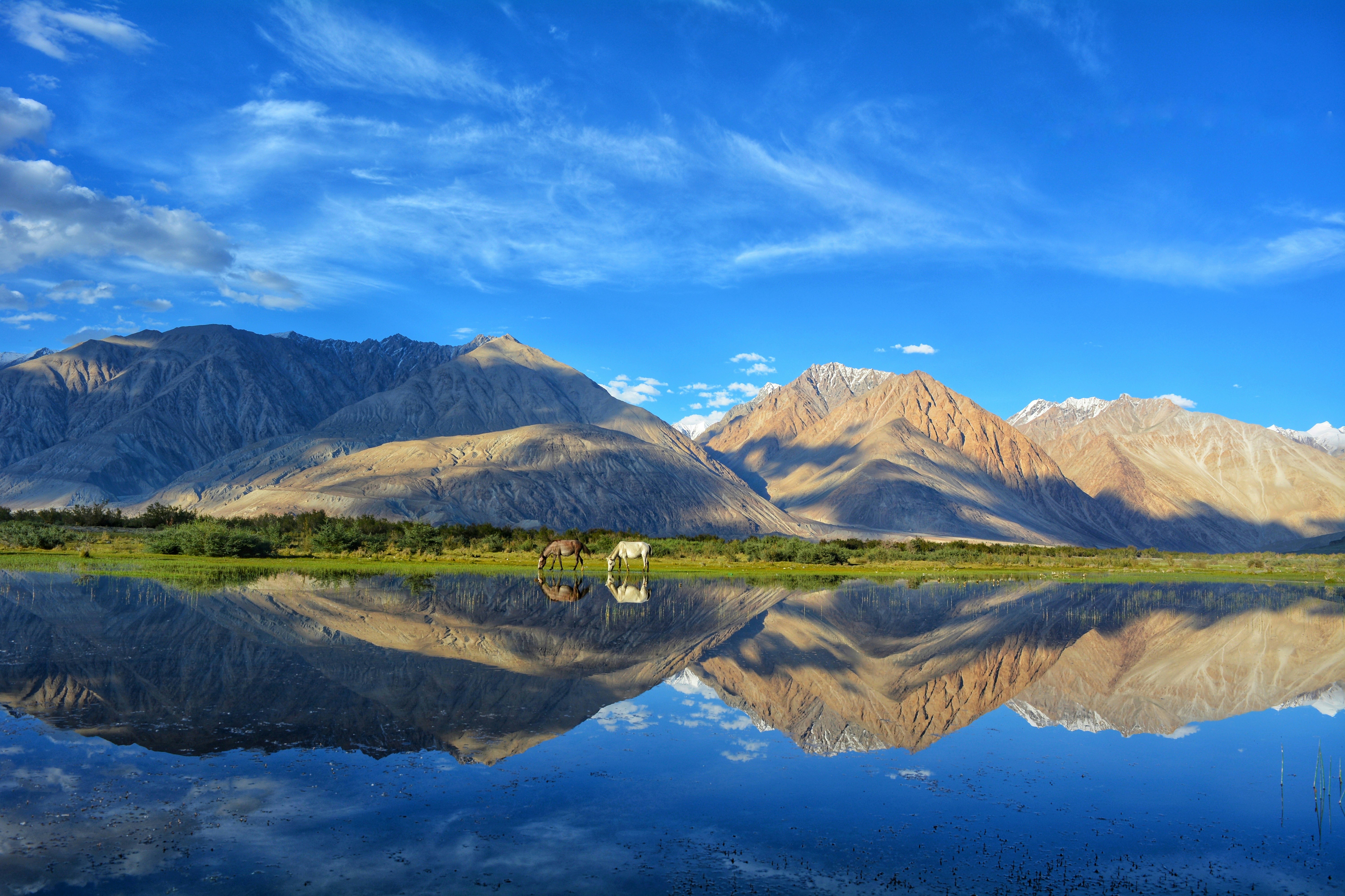 Ladakh Mountains