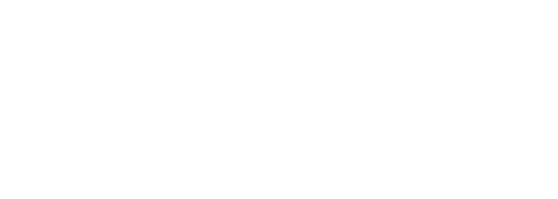 NoVi Holding