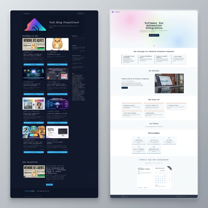 Le site pro et le blog avant modification, chacun avec son propre design