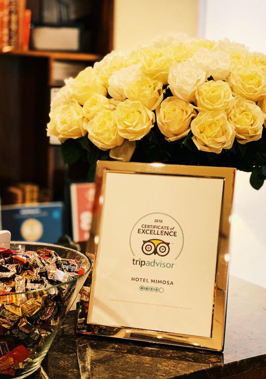 Mimosa_Hotel_17's photo