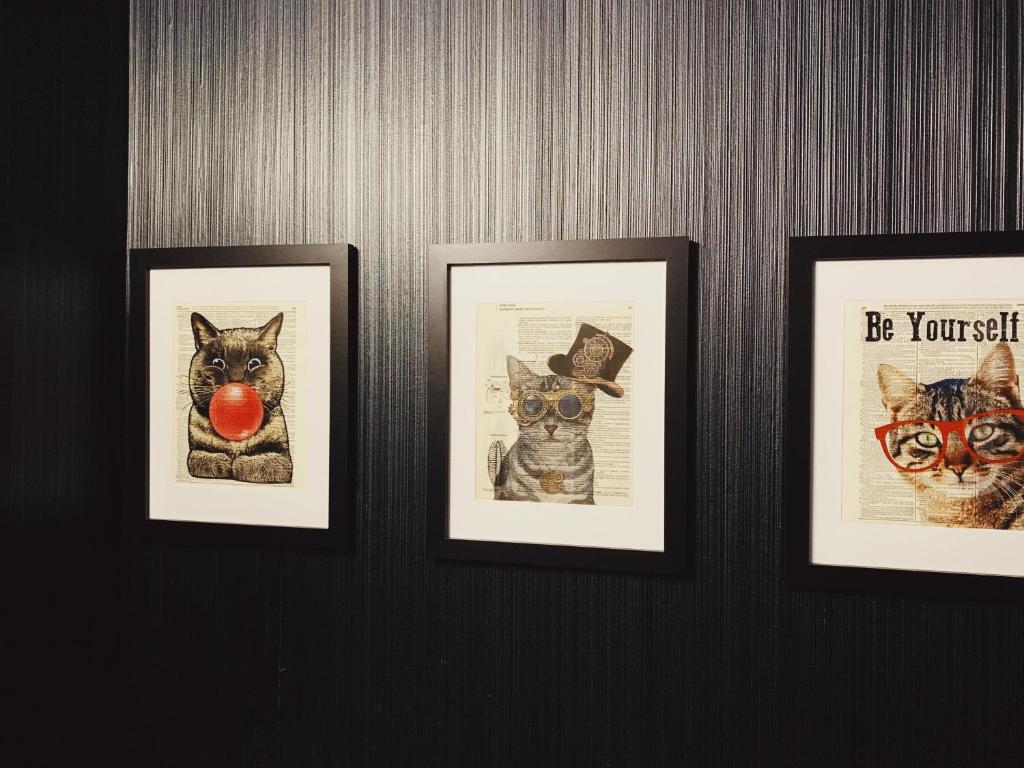 Mimosa_Hotel_19's photo