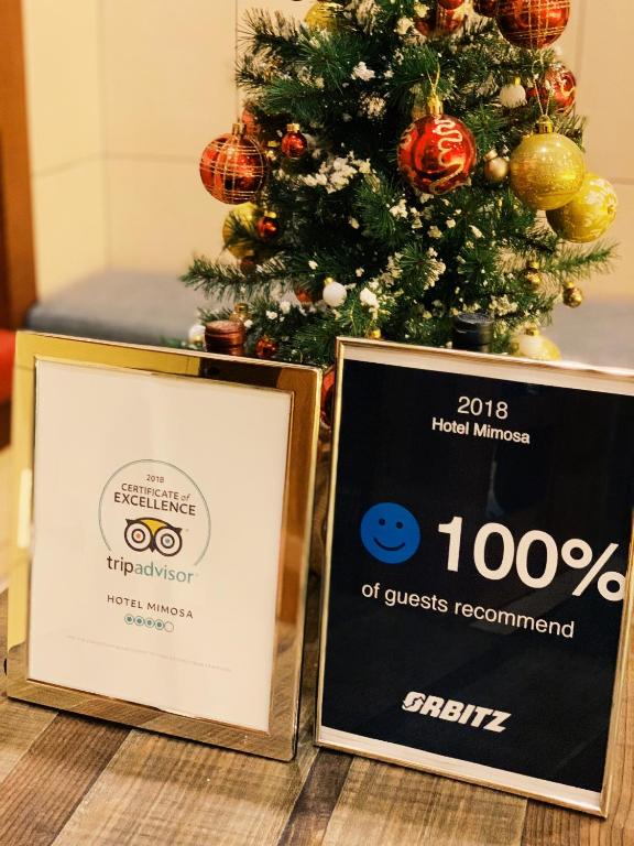 Mimosa_Hotel_28's photo