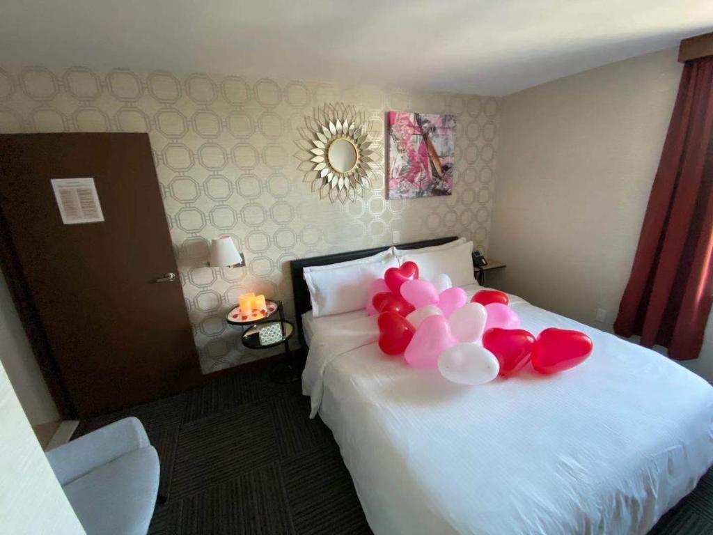 Mimosa_Hotel_35's photo