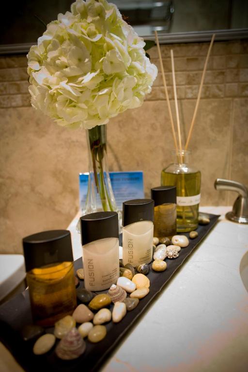 Mulberry_Hotel_4's photo