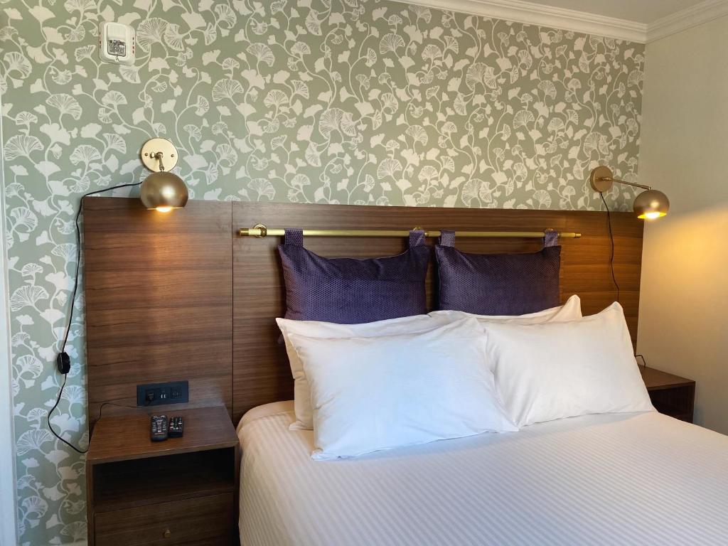 hotel_scherman_35's photo