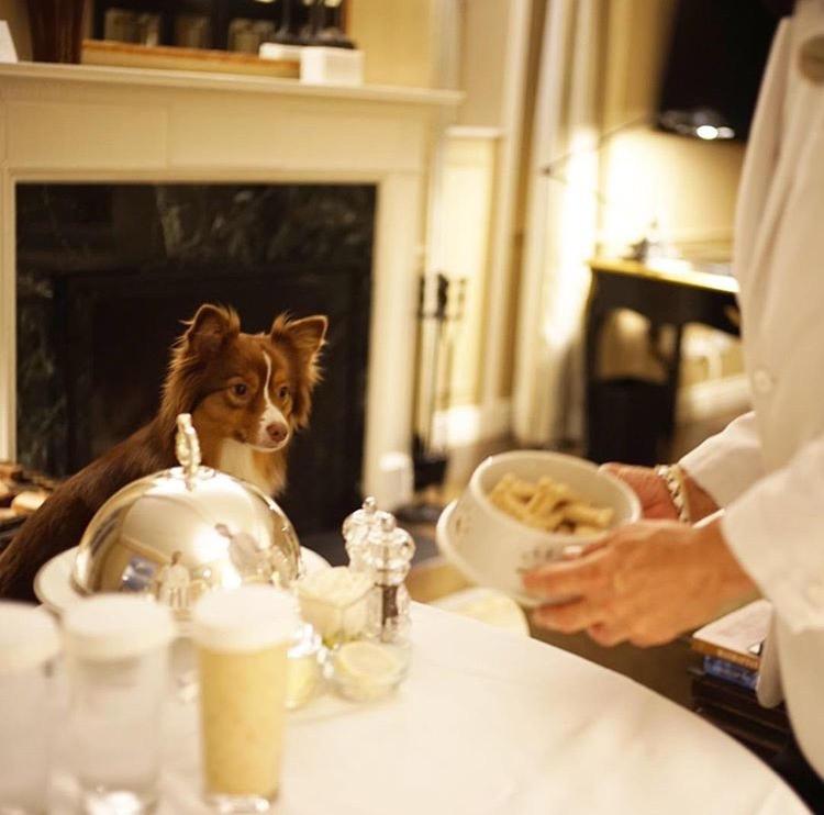 lowell_hotel_14's photo